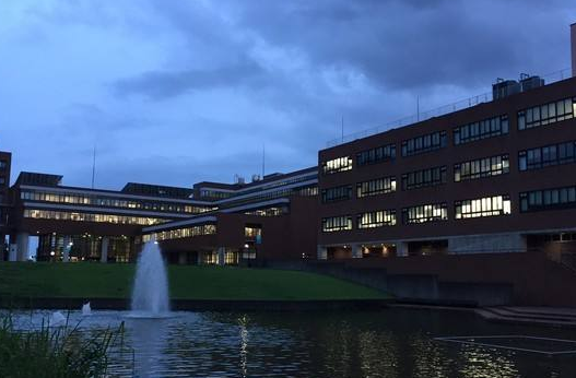 筑波大学  筑波大学